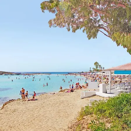 Regina איה נאפה